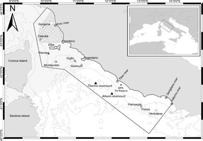 Seasonal distribution of an opportunistic apex predator (Tursiops truncatus) in marine coastal habitats of the Western Mediterranean Sea